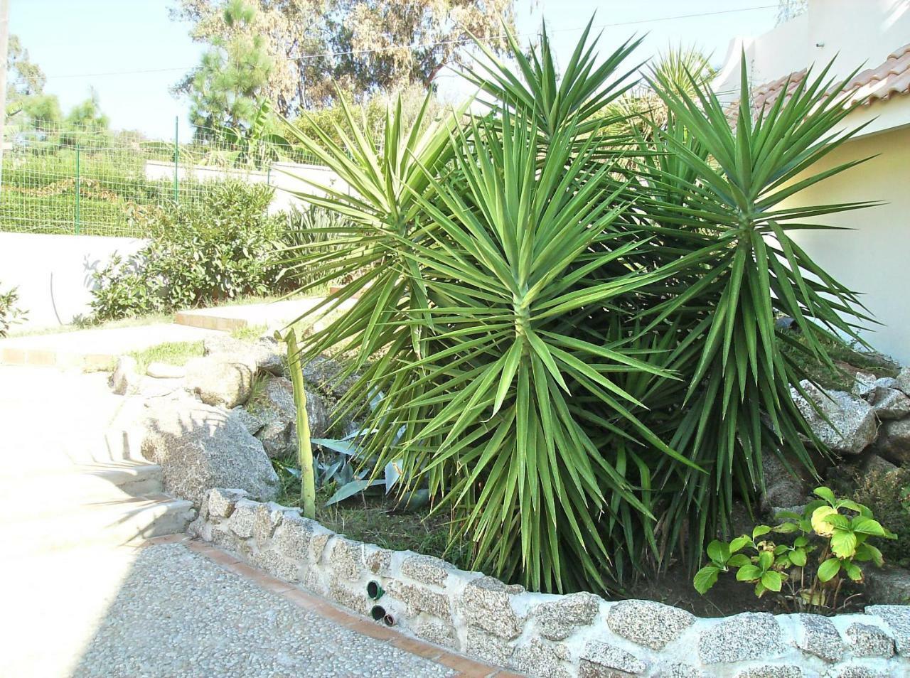 Residenza Marinella Aparthotel Zambrone Buitenkant foto